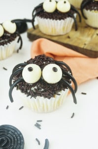 spinnen-cupcakes