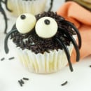 spinnen-cupcakes