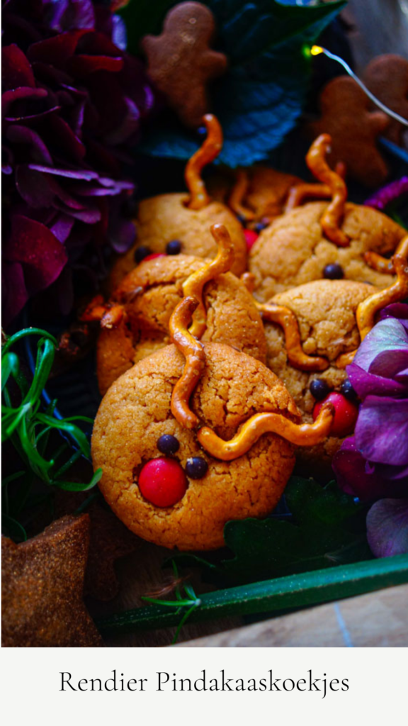 Rendier pindakaaskoekjes
Lekker eenvoudige koekjes op basis van pindakaas. Je kan ze vullen met confituur of tover ze om tot rendier koekjes.