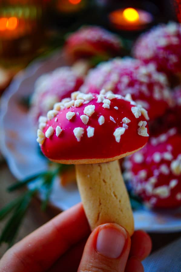 Zijn ze niet schattig deze paddenstoel koekjes? Ideaal om samen met de kinderen te bakken tijdens de vakantie. De koekjes zijn op basis van zanddeeg en zijn enorm makkelijk en snel te maken. De hoedjes worden opgevuld met aardbeienconfituur